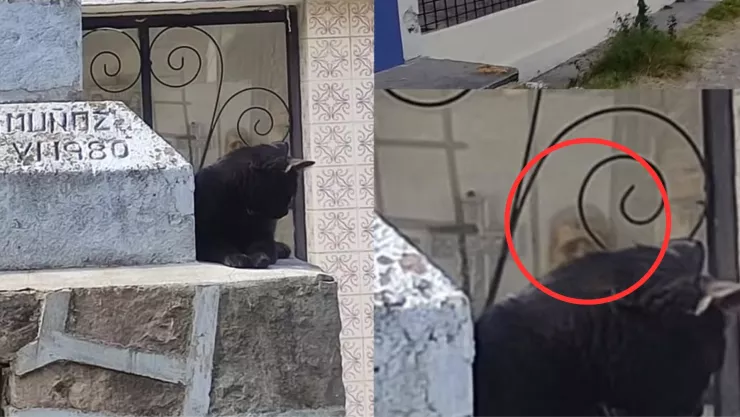 VIDEO Captan supuesto fantasma en un panteón en Tlaxcala, México y se viraliza en redes sociales