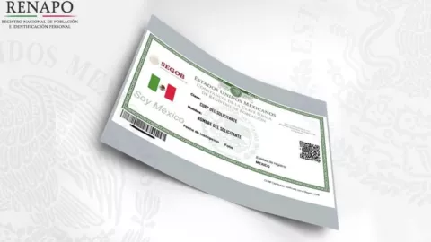 tramitar-curp.jpg