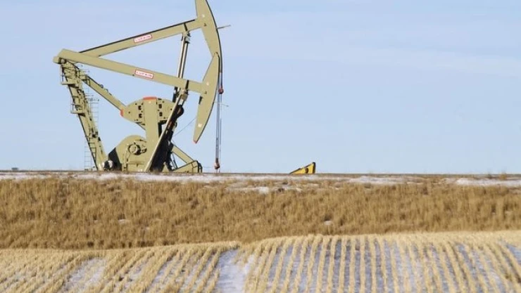 Petroleo