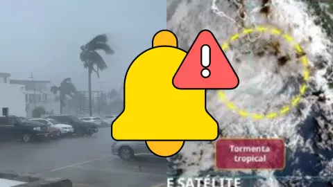 Estas son las afectaciones por la Tormenta Tropical ‘Raymond': Estados afectados HOY, 11 de octubre de 2025