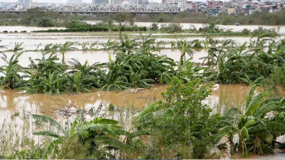 Inundaciones tras el paso del tifón Yagi por Hanói, Vietnam