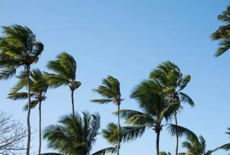 Clima Tijuana hoy martes 10 de diciembre de 2024 Habrá vientos de Santa Ana en Baja California