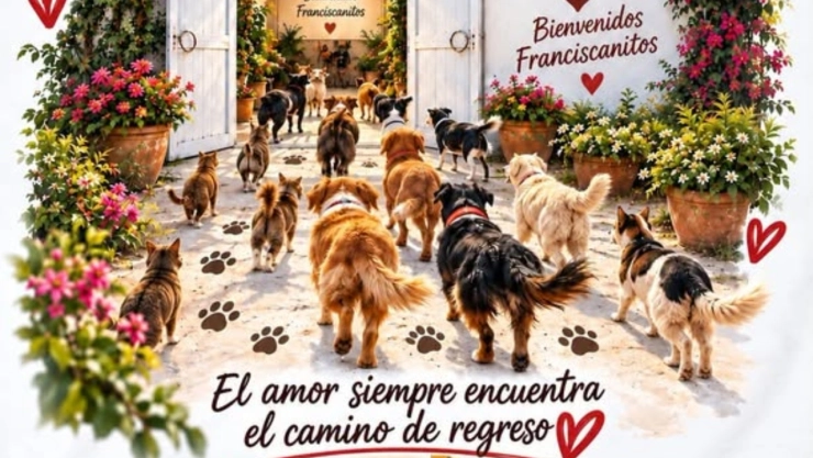 refugio-franciscano-recupera-a-156-perros-ocho-meses-conflicto-legal