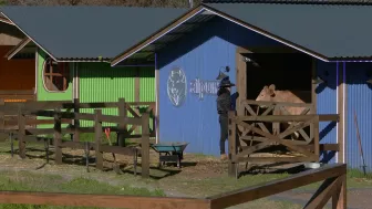 la granja vip peones dormidos eleazar gomez trabajando