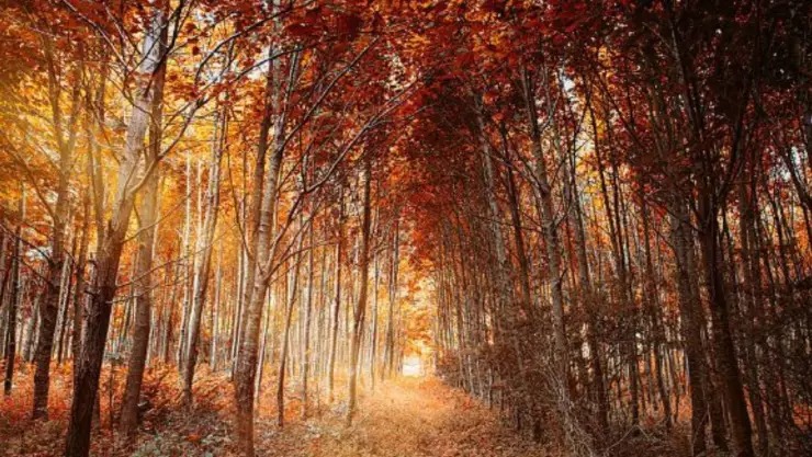 Equinoccio de otoño 2022.jpg