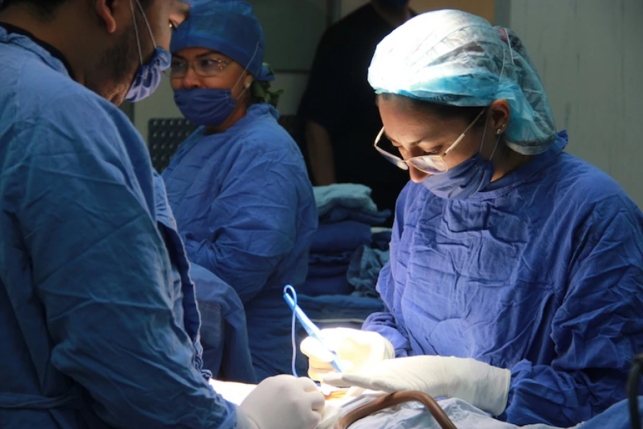 Donación de órganos