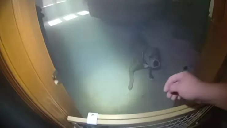 Video muestra a Oakley ayudando a policía a rescatarlo durante incendio en Illinois