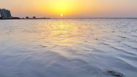 FOTO_VIDEO_ El mar se aleja 30 METROS en playas de Yucatán previa a la llegada del Huracán Beryl