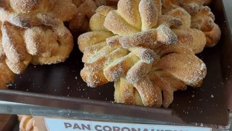 pan-coronavirus-narvarte