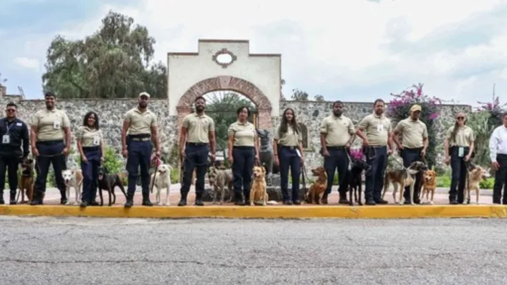 Lomitos graduados del Ceacan con sus dueños.