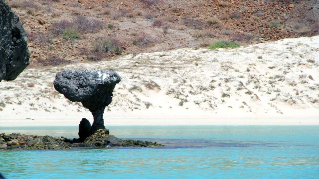 horario para visitar Playa Balandra