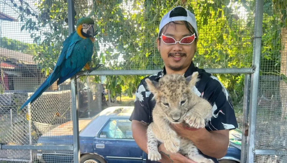 Leona de un influencer hiere a dos personas tras escapar de su jaula.jpg