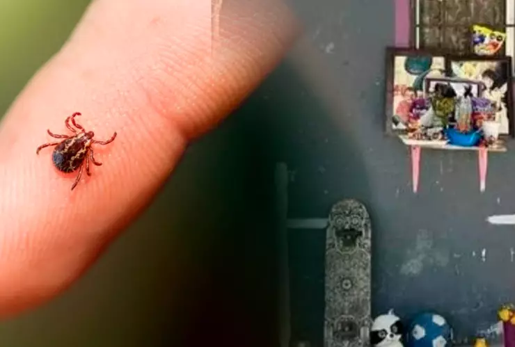 Picadura de garrapata en Nuevo León