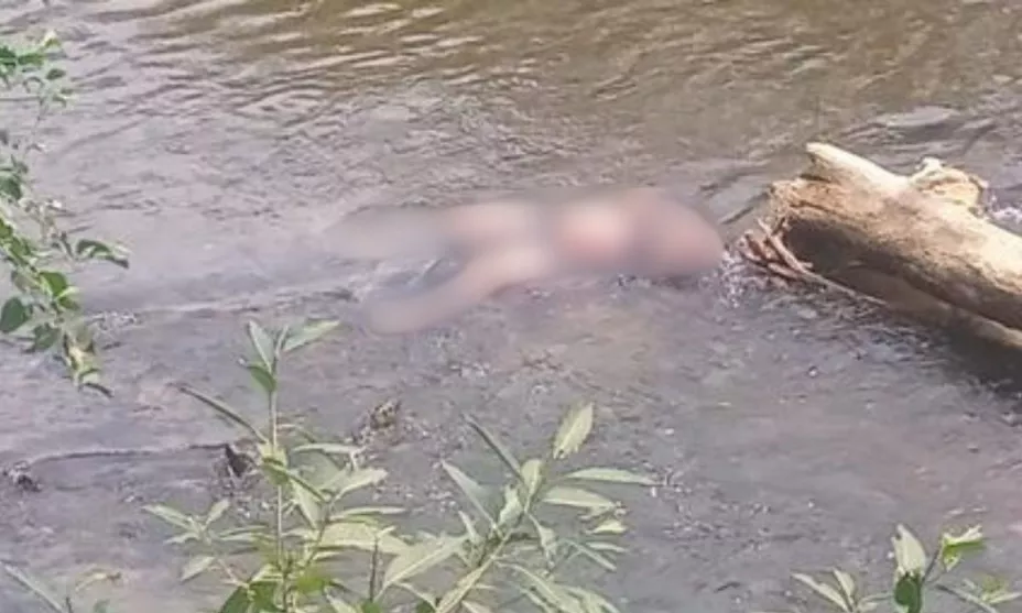 Joven fallece en el río Río Cotaxtla