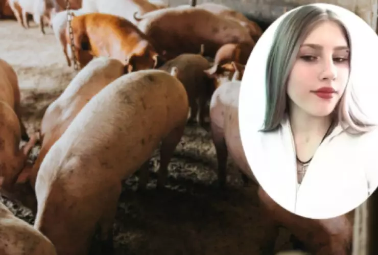 Estudiante de 17 años muere atacada por cerdos en una granja, cuando los alimentaba