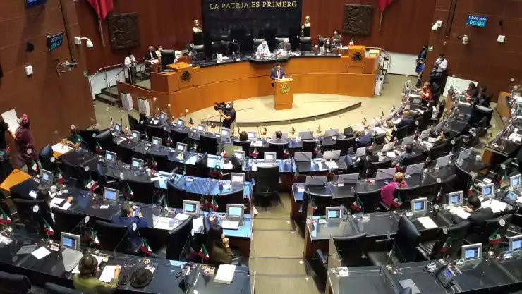 pleno del Senado.jpeg