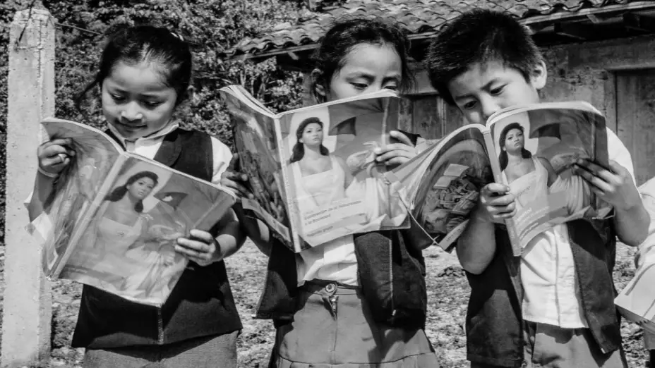 Libro-de-textos-gratuitos-SEP-amparo