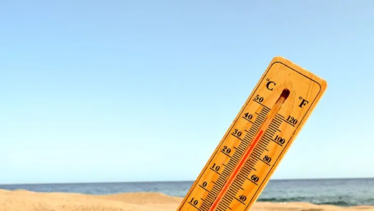 Calor tijuana