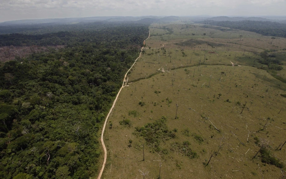 Amazonas