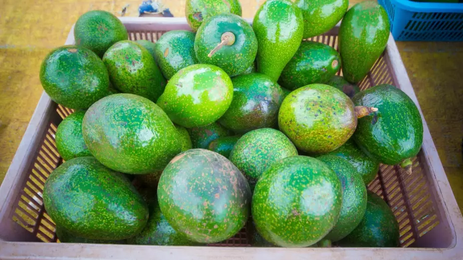 ¿Qué productos podrían subir de precio si EU impone aranceles a México? De esto se habla