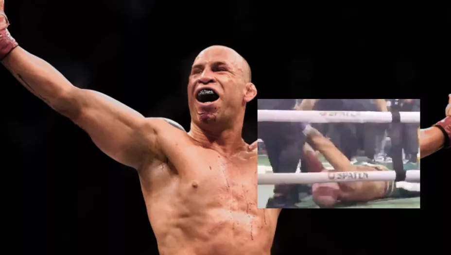 wanderlei silva boxeador