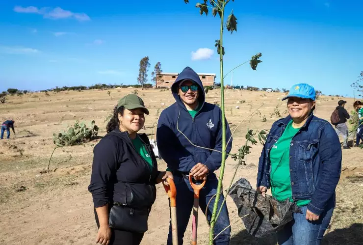 Anuncian reforestación en León 