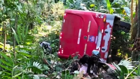 La unidad presentó falla mecánica y se volcó en una curva rumbo a Naranjal, Veracruz