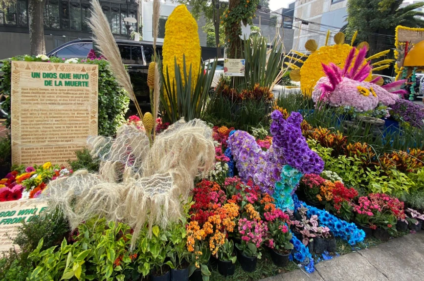 Festival Flores y Jardinería 2022 Polanco