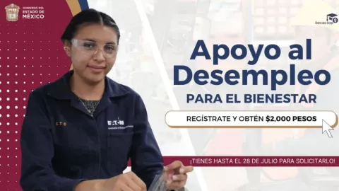 Resultados del apoyo al desempleo para el Bienestar
