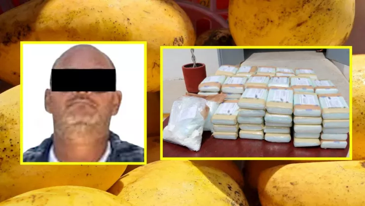 Cocaína entre mangos: cae sujeto con casi 80 kilos de droga en tráiler