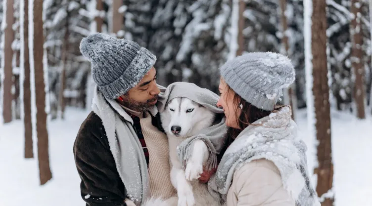 Así proteges a tus mascotas del frío este invierno 2024