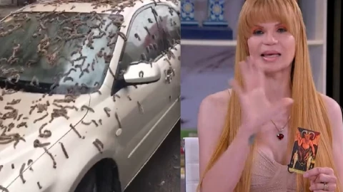 por qué llovieron gusanos en china explicación