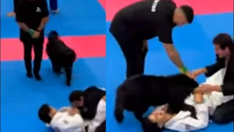 Firulais no soportó y defendió a su dueño.