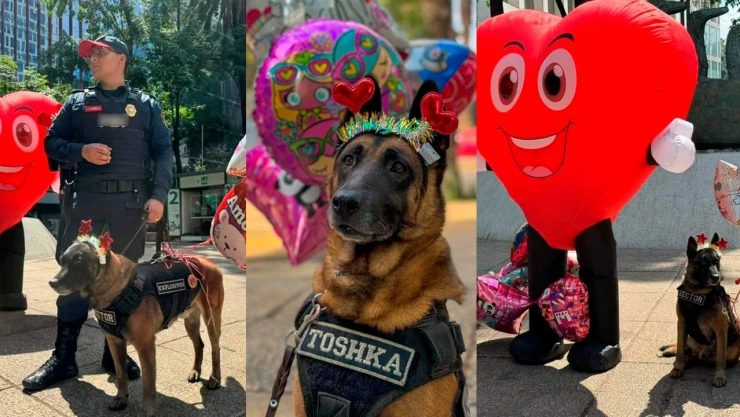 perritos policía san Valentín