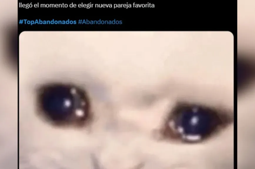 Todos teníamos nuestra pareja favorita, pero con la llegada de una nueva pareja, ahora debemos reevaluar quién es realmente la más divertida. Este cambio nos deja con sentimientos encontrados, ya que cada pareja aporta su propio encanto y diversión.