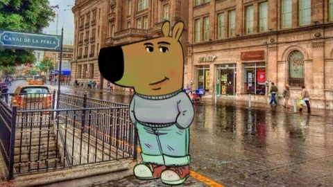 El perro tranquilo, chill huy, tipo chill de cojones.