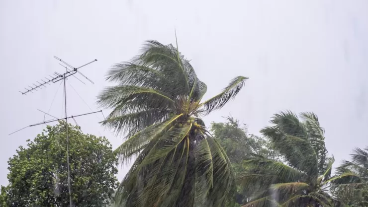Clima Tijuana hoy jueves 7 de noviembre de 2024 por vientos de Santa Ana; habrá mala calidad de aire