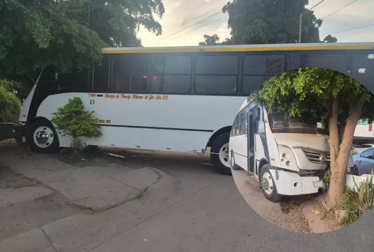 Choca camión contra árbol en Guasave
