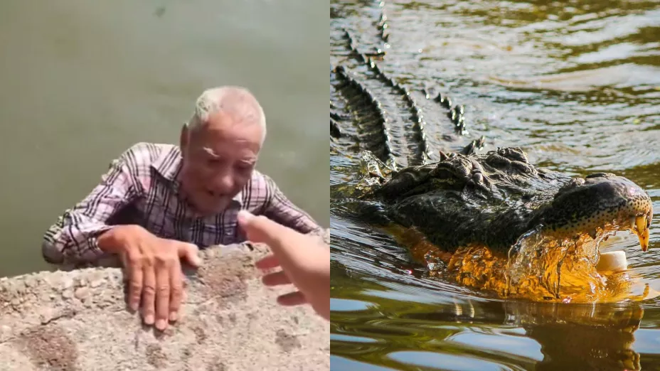 VIDEO | Salvan a adulto mayor de ser devorado por un cocodrilo en Tampico, Tamaulipas