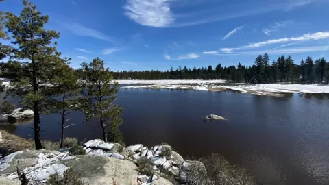 Emiten alerta por inseguridad desde La Rumorosa hasta Parque Nacional en la Sierra de Juárez, BC
