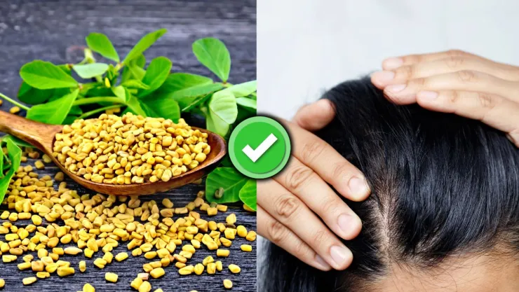 /estilo-de-vida/semillas-fenogreco-fortalecer-raiz-cabello