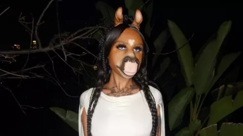 HorsegiirL, la DJ alemana mitad humana, mitad caballo, causa sensación en redes: ¿realmente es Therian o solo un personaje artístico?