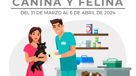 Iniciará la jornada de vacunación antirrábica canina y felina en Quintana Roo