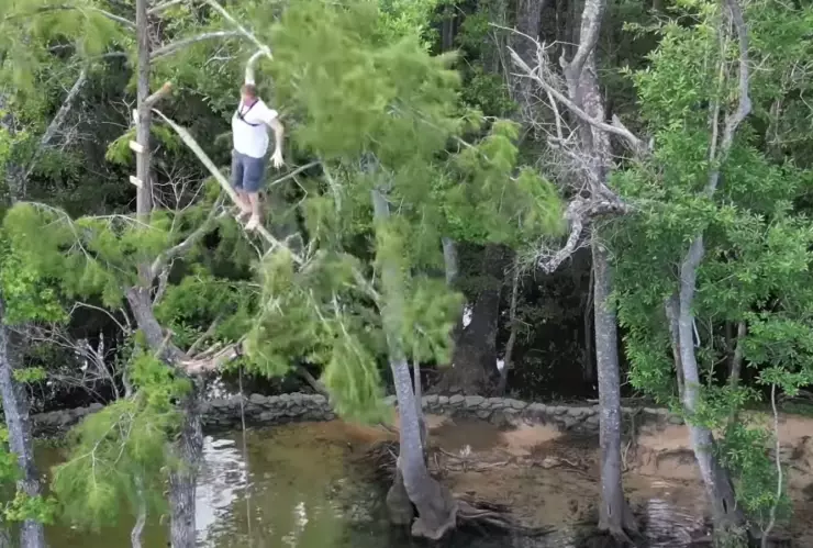 hombre-cae-árbol-20-metros-altura-florida-lesiones-menores-video