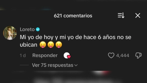 comentario loreto peralta