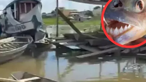 Menor fallece luego de accidente en casa flotante cerca de Coari, en el estado de Amazonas