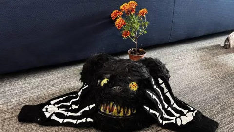 cuanto cuesta un disfraz de halloween y Día de Muertos 2024