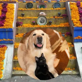 /estilo-de-vida/que-elementos-no-pueden-faltar-ofrenda-dia-de-muertos-mascotas