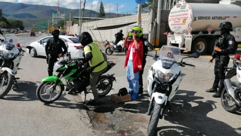 Petaquillas muertos granja de pollos