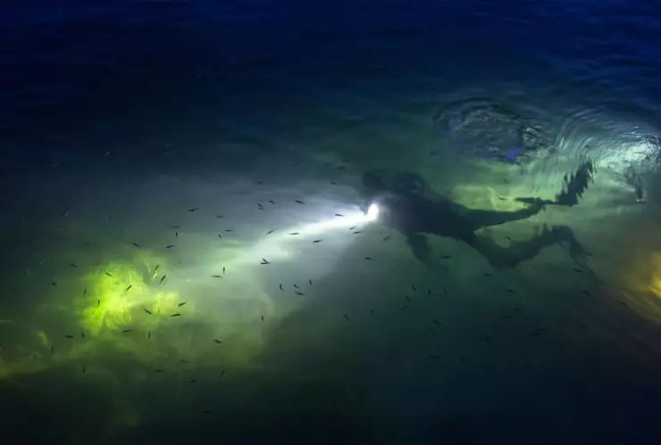 Descubrimiento de tesoro pirata en Baja California: Santo Grial